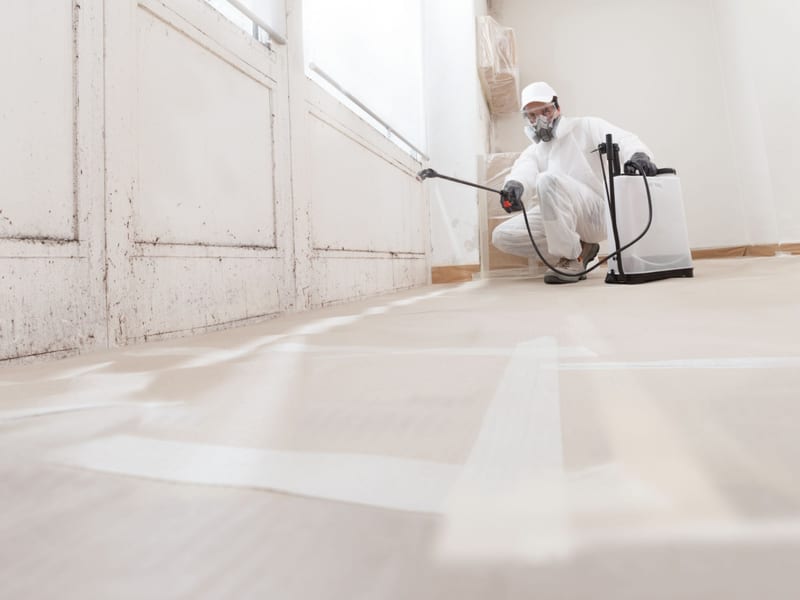 Mold remediation technician in protective gear